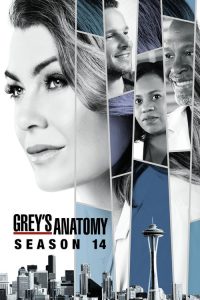 Grey’s Anatomy: 14 Temporada