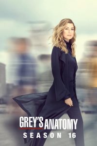 Grey’s Anatomy: 16 Temporada