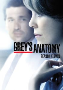 Grey’s Anatomy: 11 Temporada