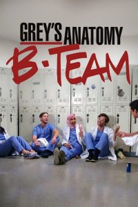 Grey’s Anatomy: B-Team: 1 Temporada