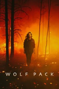 Wolf Pack: 1 Temporada